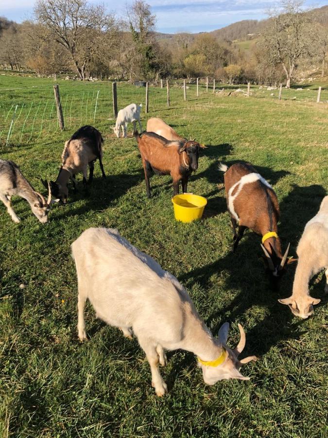 Gite A La Ferme Montesquieu-Avantes Екстер'єр фото