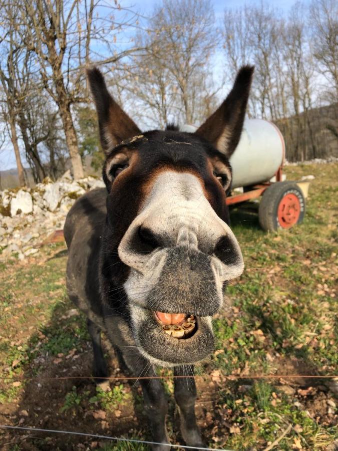 Gite A La Ferme Montesquieu-Avantes Екстер'єр фото